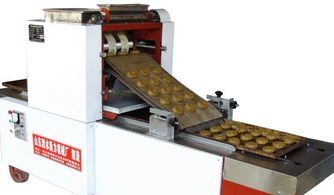 自動撒芝麻桃酥糕點成型機(jī) ts 600 400型