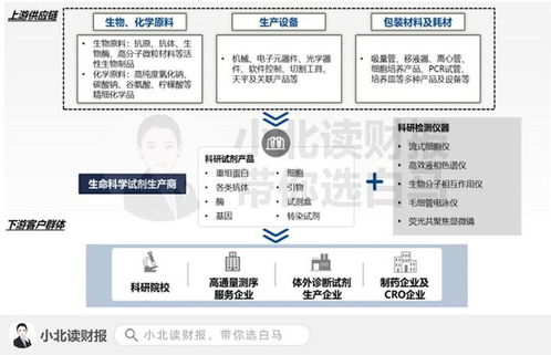 醫(yī)藥新興行業(yè) 信息技術(shù)咨詢(xún)服務(wù)的百億藍(lán)海市場(chǎng)與十倍增長(zhǎng)機(jī)會(huì)